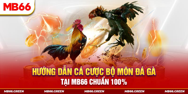 1133win slot là gi