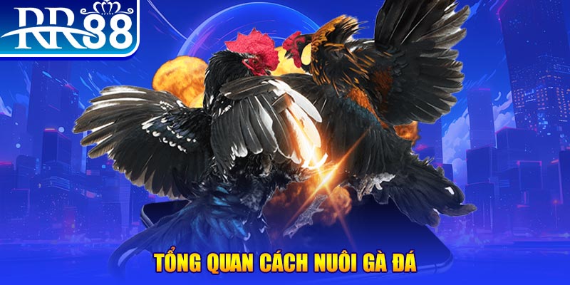 1133win game nổ hũ rút tiền mặt là gì