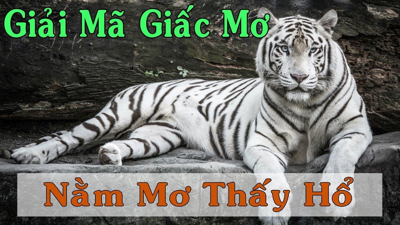 1133win nổ hũ là game gì