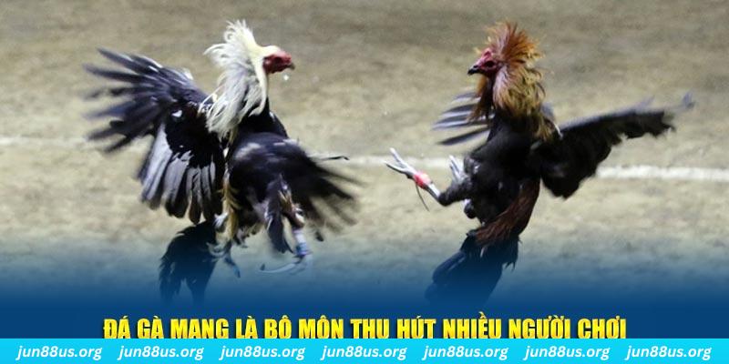 1133win nổ hủ nghĩa là gì