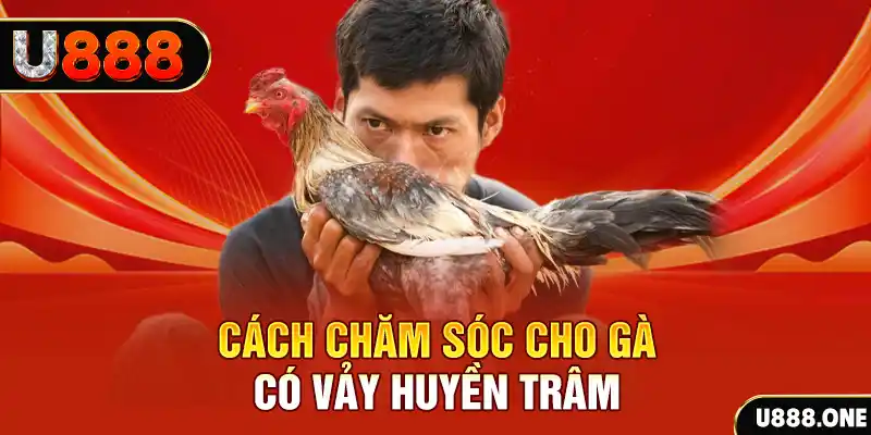 1133win bắn cá xèng 3