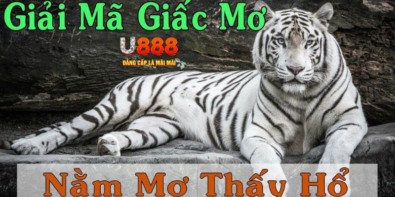 1133win xổ số miền bắc xổ số miền bắc