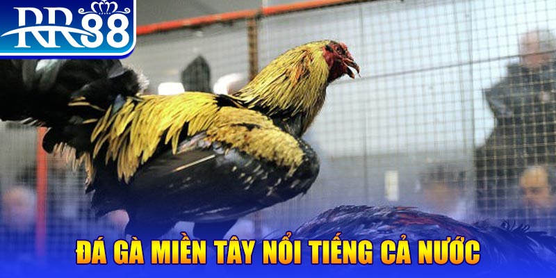 1133win xổ số đại phát