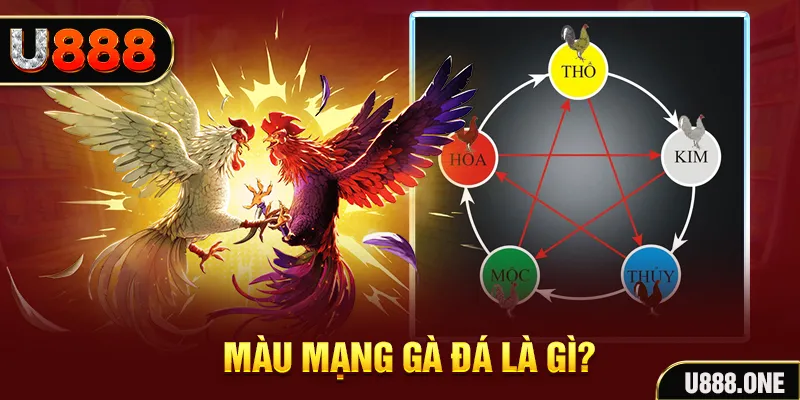 1133win xổ số miền trung thứ tư hàng tuần