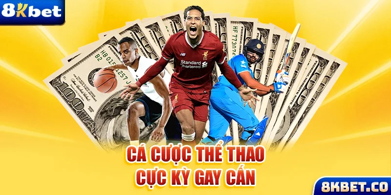 1133win xem đá gà trực tiếp